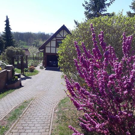 Ferienwohnung Zur Saaleaue Wettin Экстерьер фото