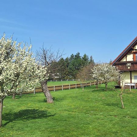 Ferienwohnung Zur Saaleaue Wettin Экстерьер фото