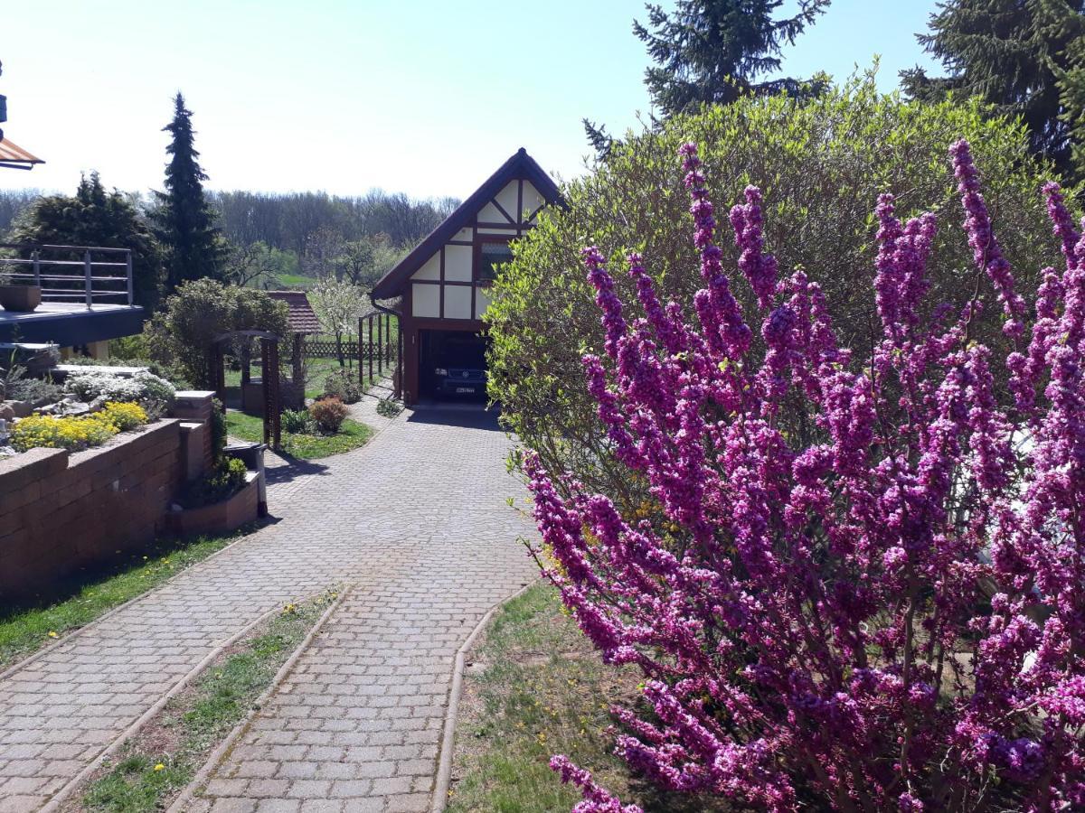 Ferienwohnung Zur Saaleaue Wettin Экстерьер фото
