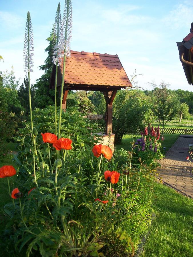 Ferienwohnung Zur Saaleaue Wettin Экстерьер фото