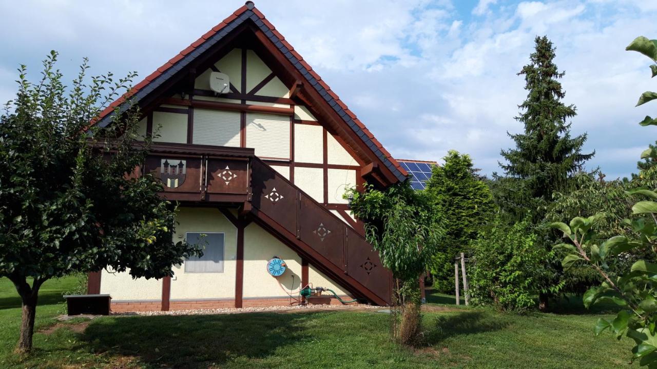 Ferienwohnung Zur Saaleaue Wettin Экстерьер фото