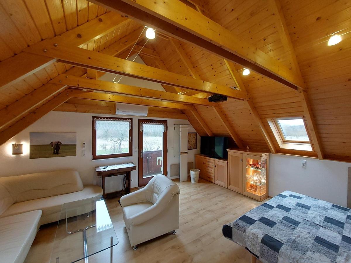 Ferienwohnung Zur Saaleaue Wettin Экстерьер фото