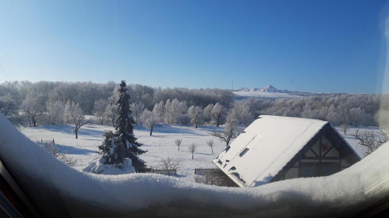 Ferienwohnung Zur Saaleaue Wettin Экстерьер фото