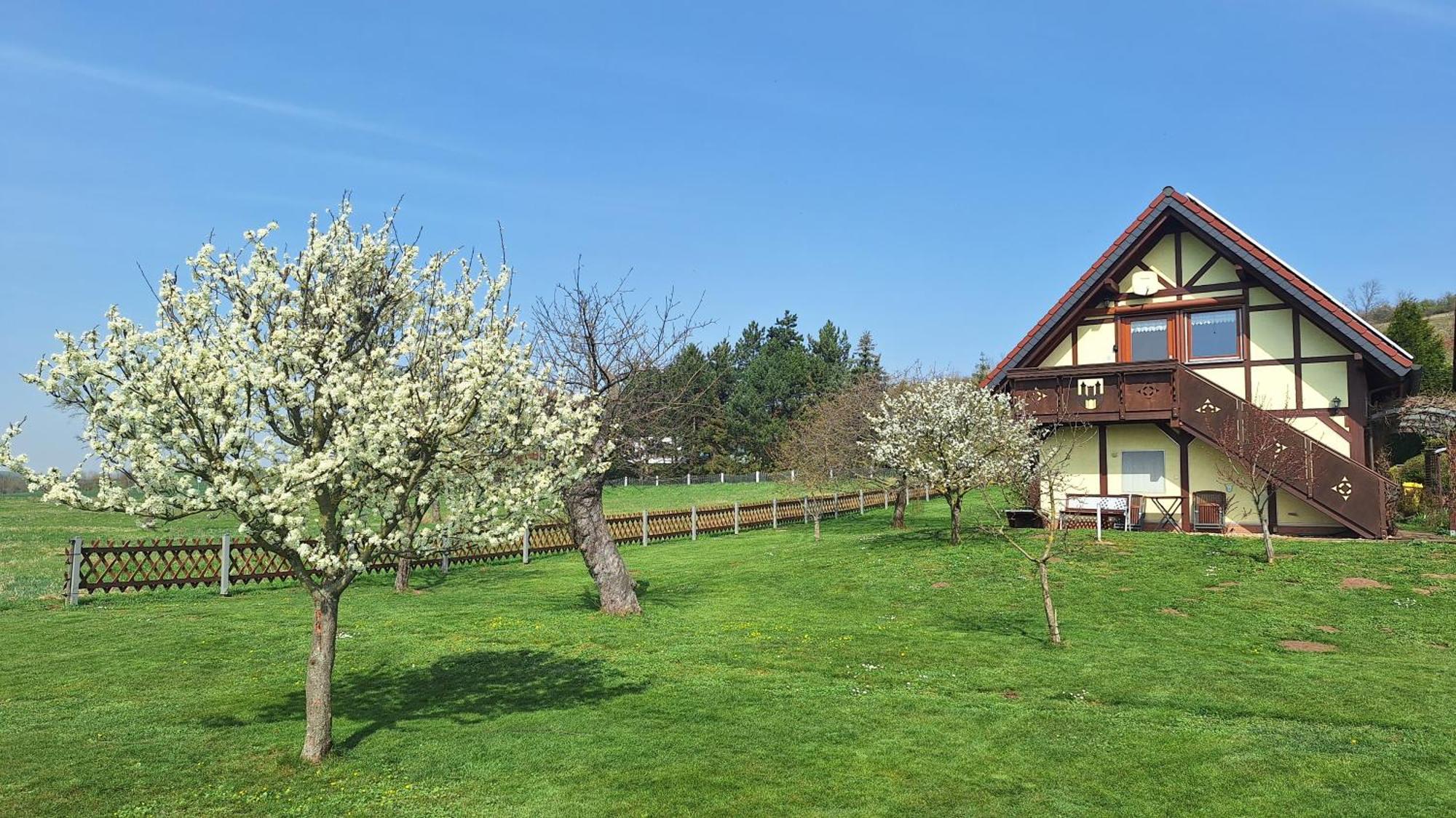Ferienwohnung Zur Saaleaue Wettin Экстерьер фото